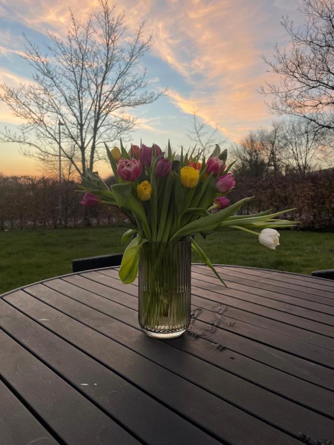 Helts B&B - Helts Guesthouse Herning Bagian luar foto