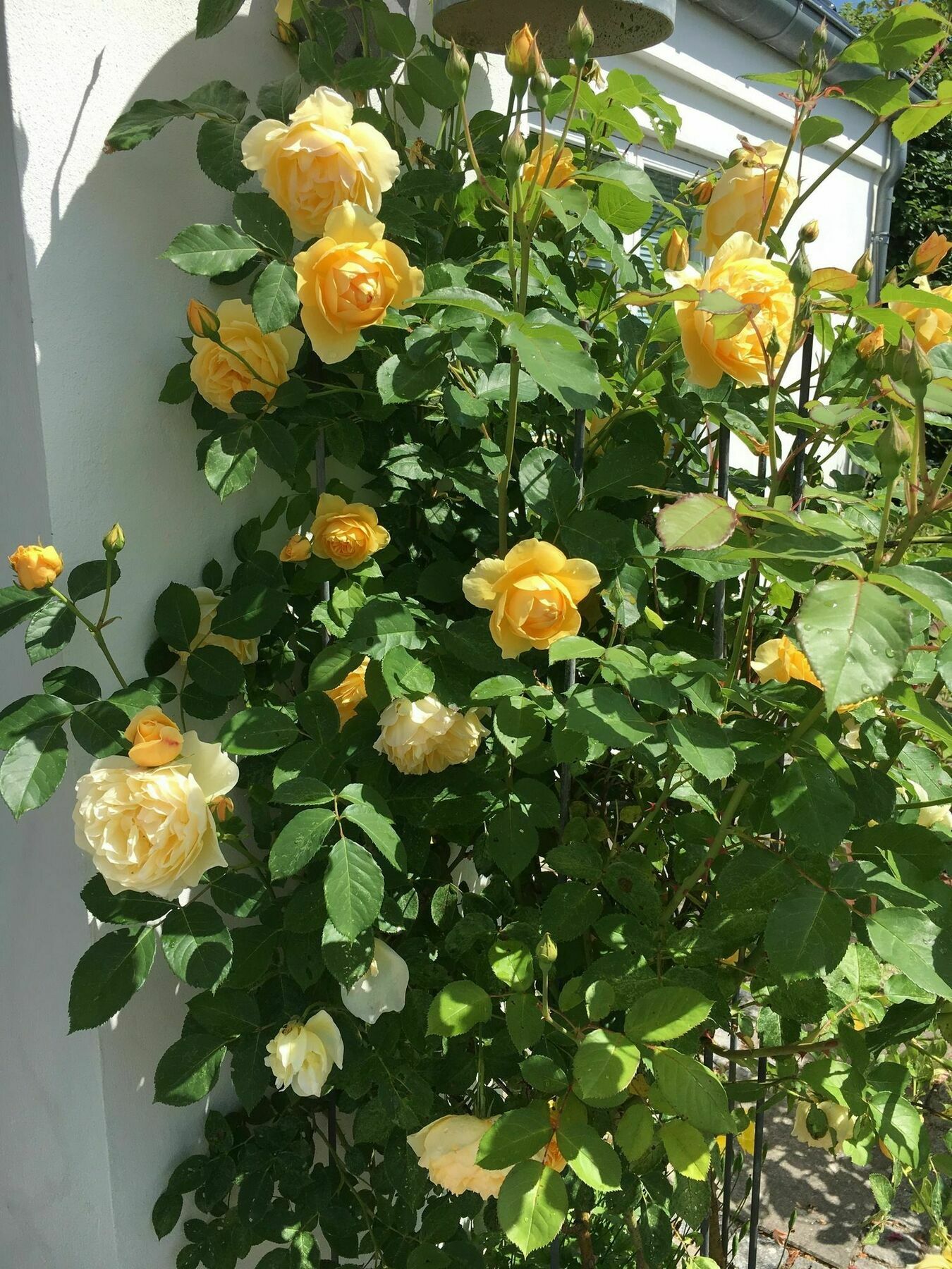 Helts B&B - Helts Guesthouse Herning Bagian luar foto