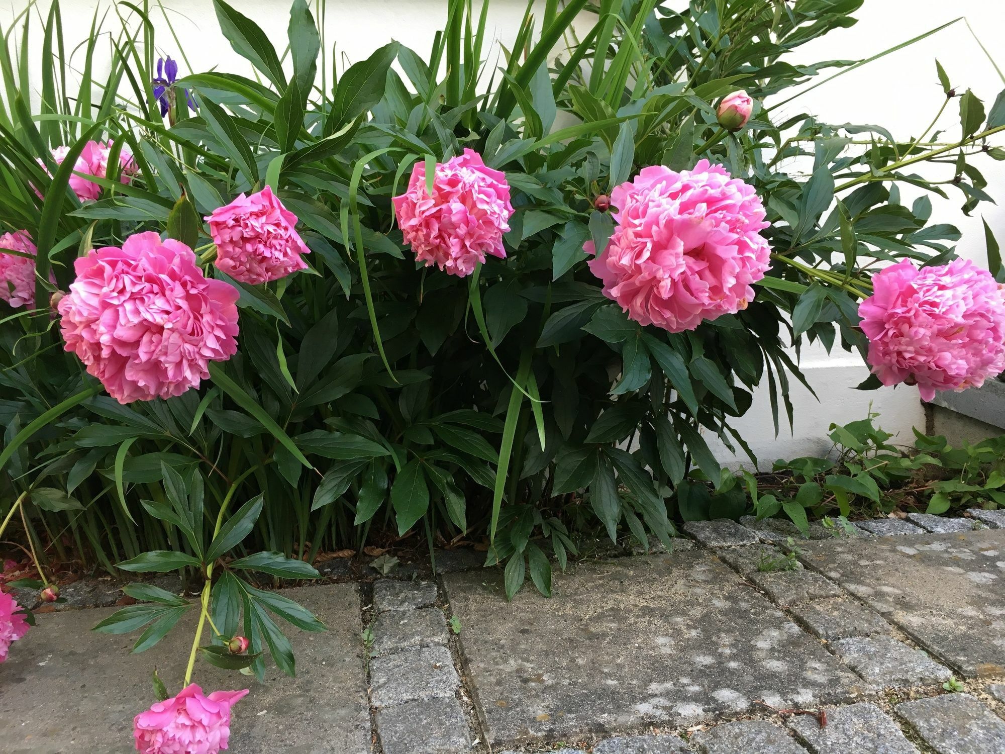 Helts B&B - Helts Guesthouse Herning Bagian luar foto
